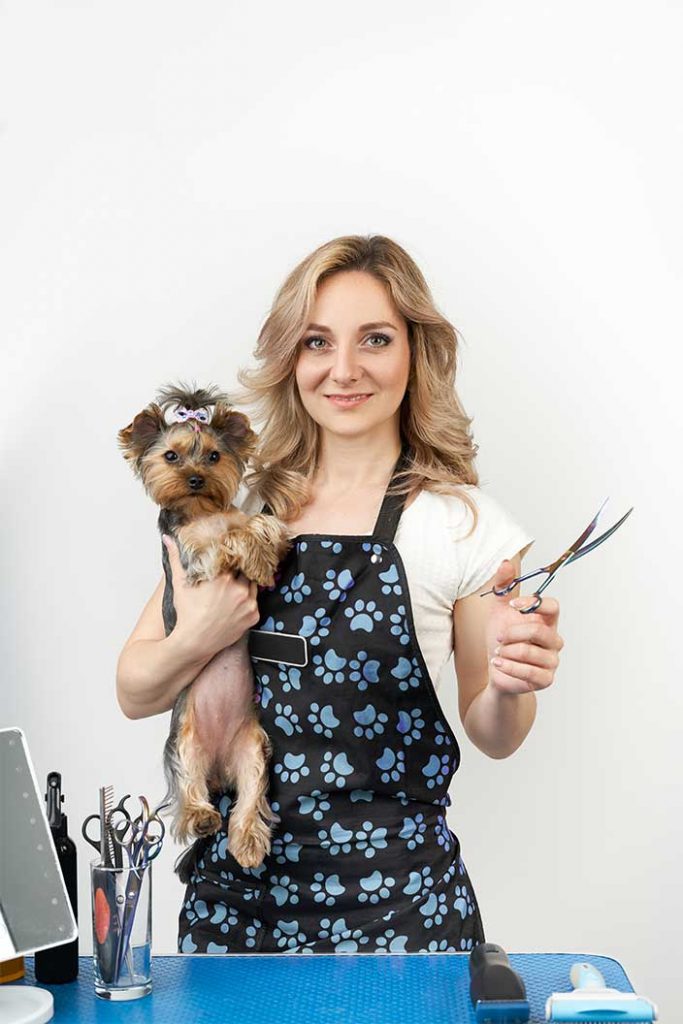 The Science Of Shedding: Managing Pet Hair With Proper Grooming